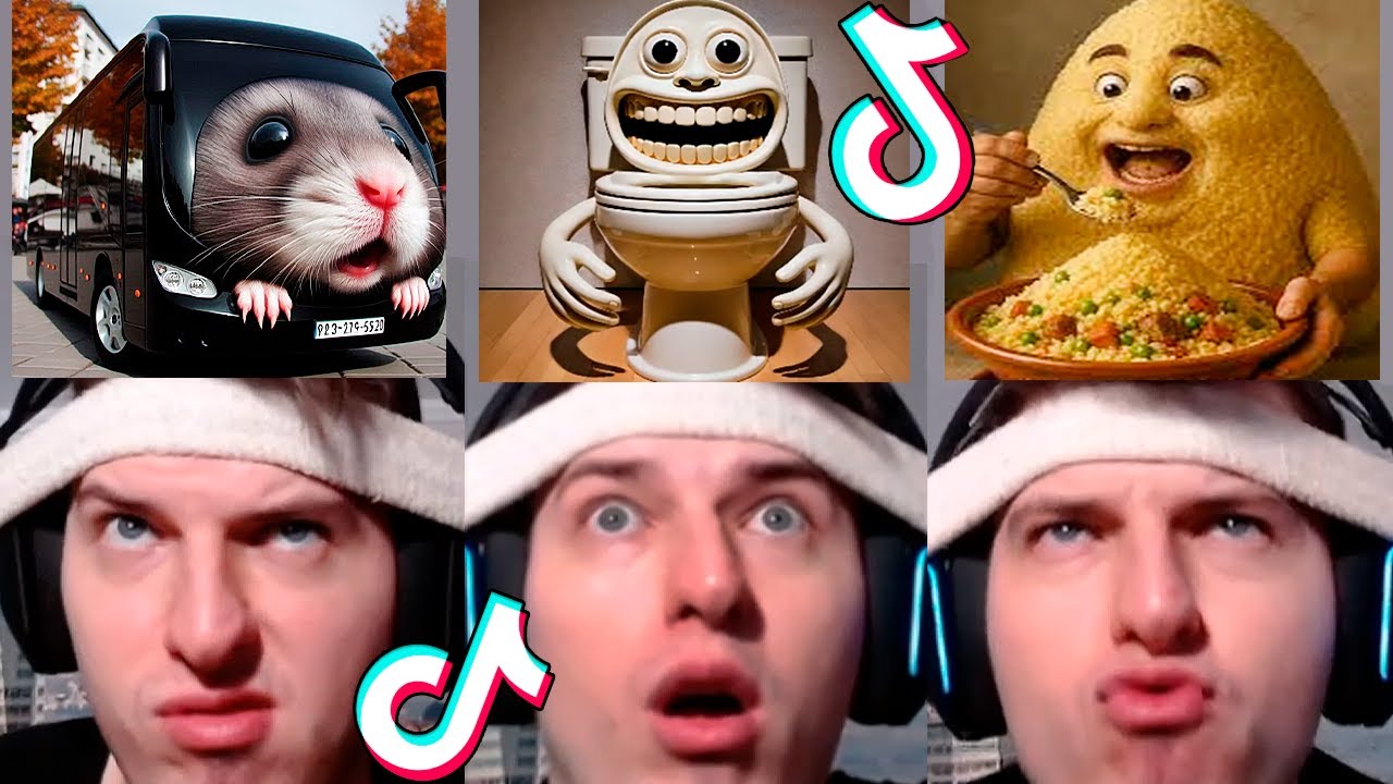 НОВЫЕ итальянские животные-гнилости 😱 Подборка TikTok (Anatoxich) #63
