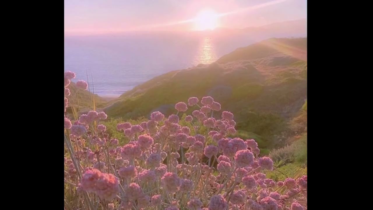 [ FREE ] CHILL X AMBIENT X PROTECT TYPE BEAT 