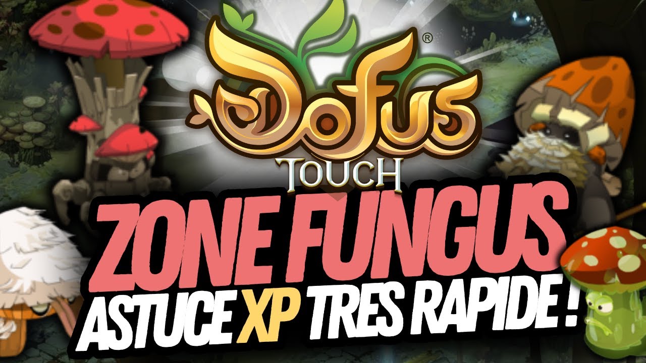 ASTUCE XP TRES RAPIDE SUR DOFUS TOUCH (1.000.000 XP en 10s !!)