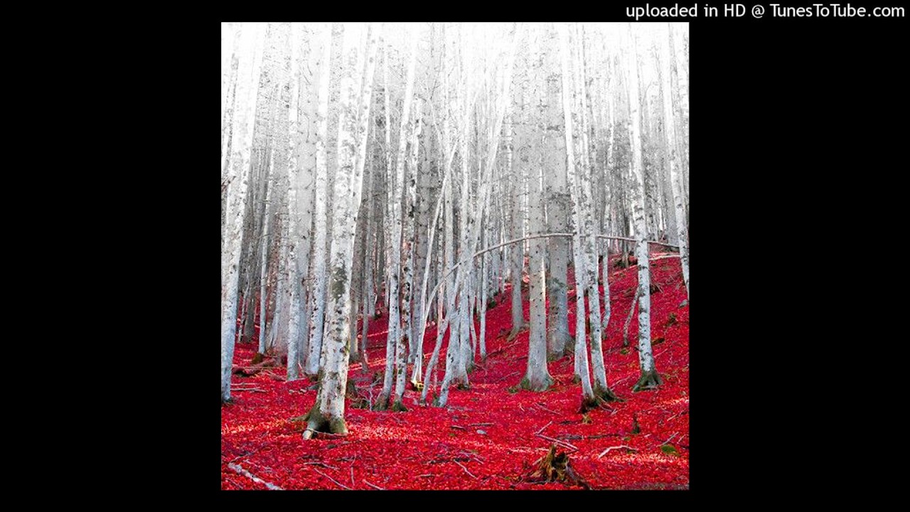 [free for profit] ambient + experimental type beat 