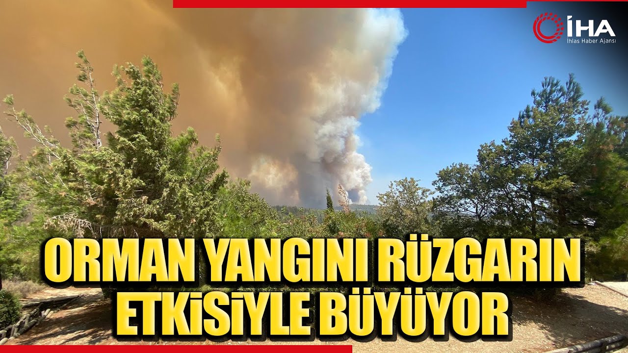 Eceabat'taki Orman Yangını Rüzgarın Etkisiyle Büyüyor