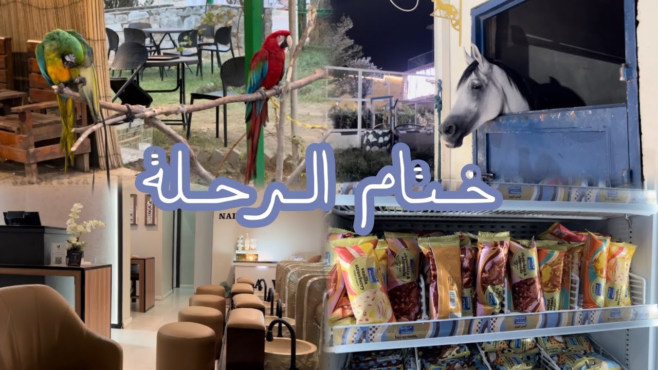 فلوق جديد ✨ نهاية إجازتنا الصيفية ☀️ العودة للبيت والروتين ♥️