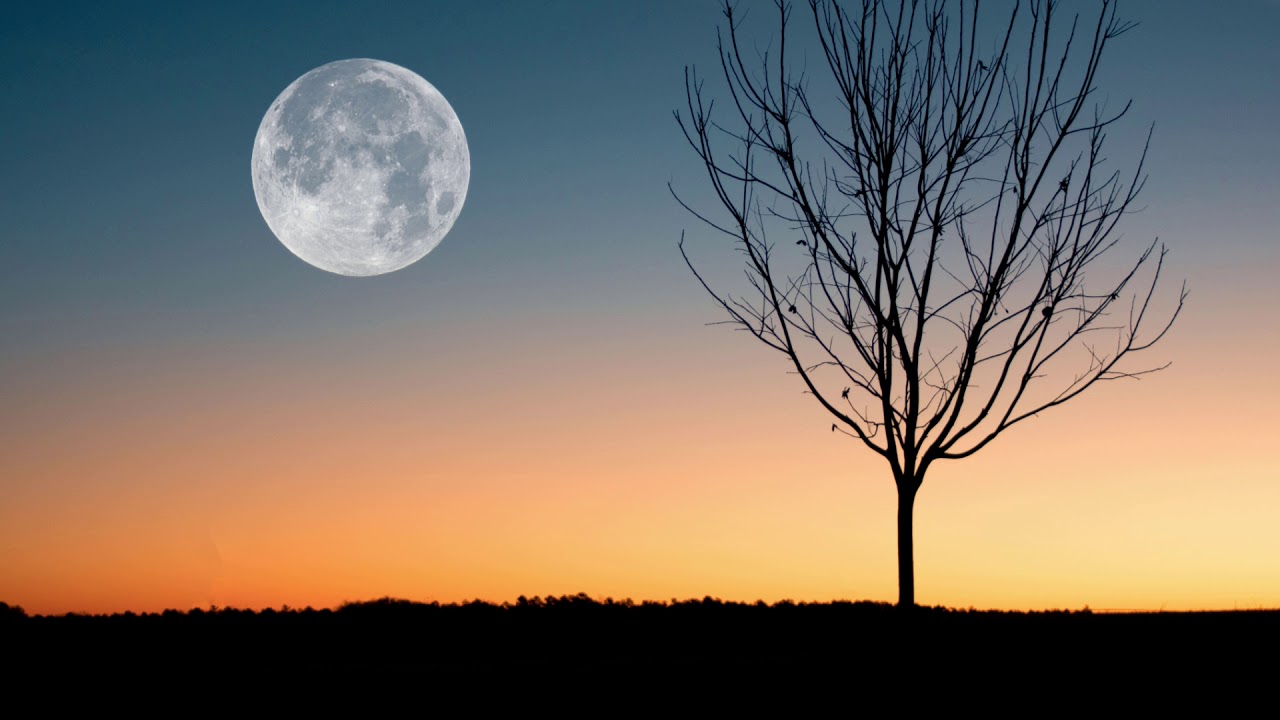 GAR - Moon