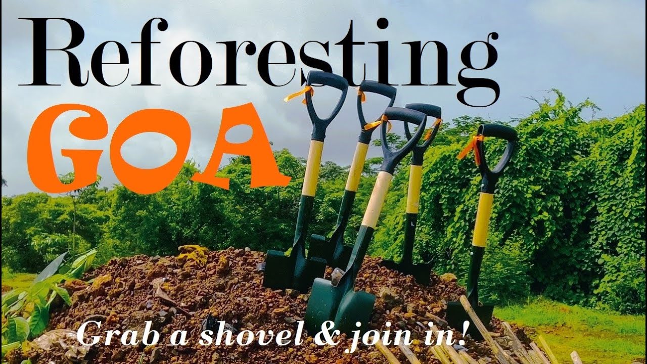 Reforesting Goa - Planting trees on Goa's tough laterite terrain. Vriksh Foundation x Goa University