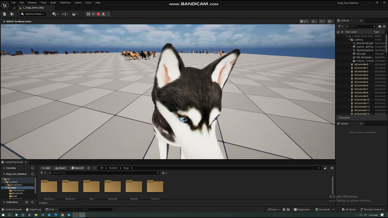 Dog Packs Demo Test