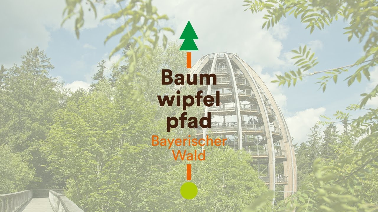 Baumwipfelpfad Bayerischer Wald