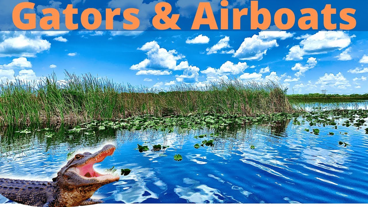 Everglades Holiday Park Airboat Tours. Things to do in Fort Lauderdale. Living in Florida.