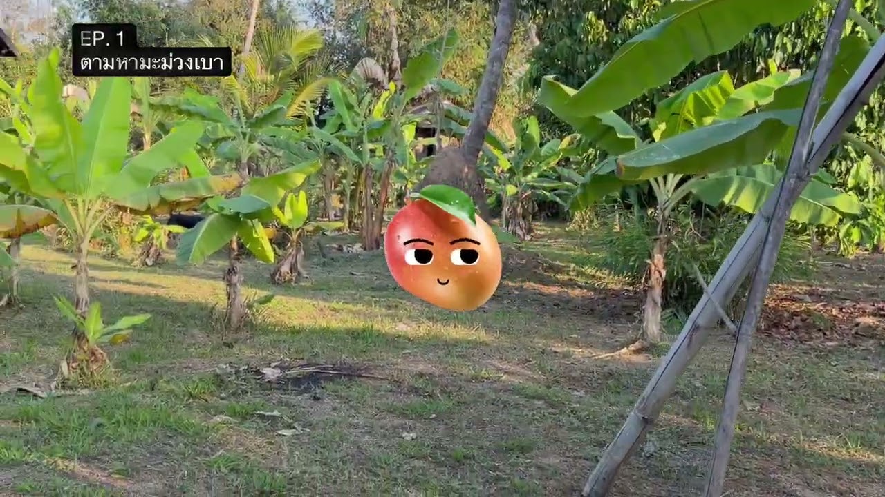 EP.1 มะม่วงเบาฉันอยูาไหนค้าาา..? 🥭😂 #HRพาม่วน 
