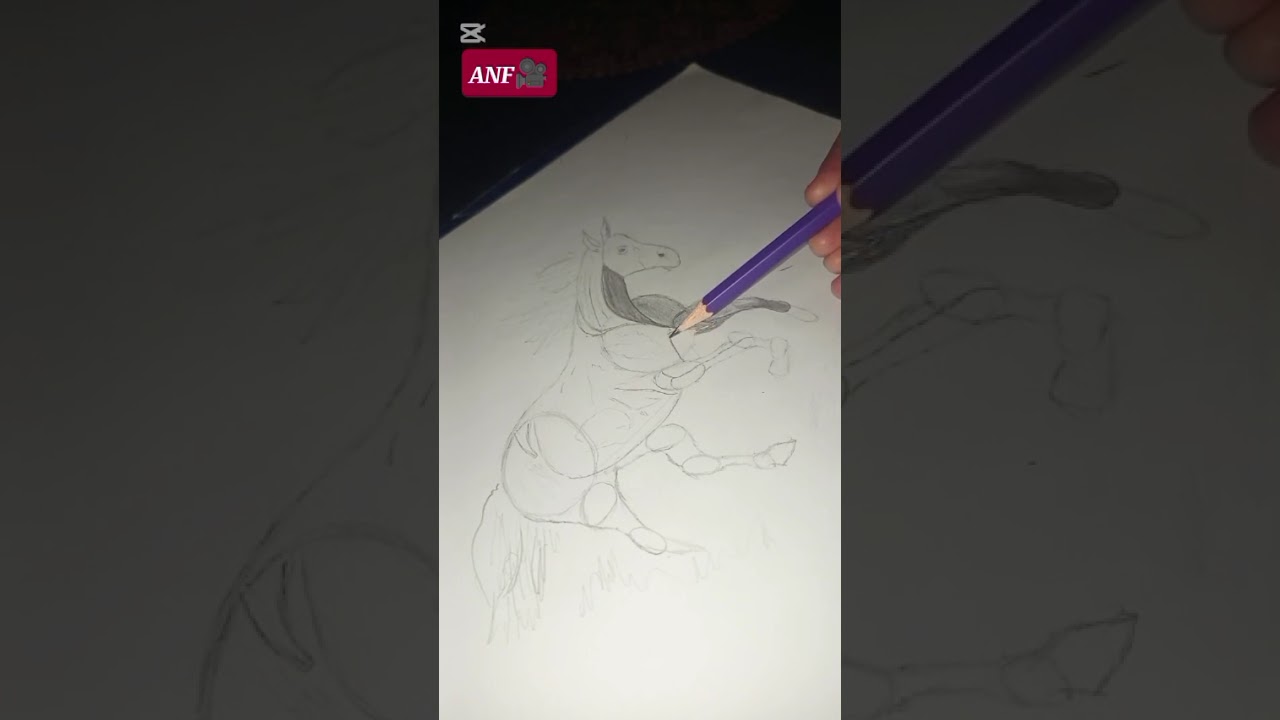 Crazy Horse drawing 