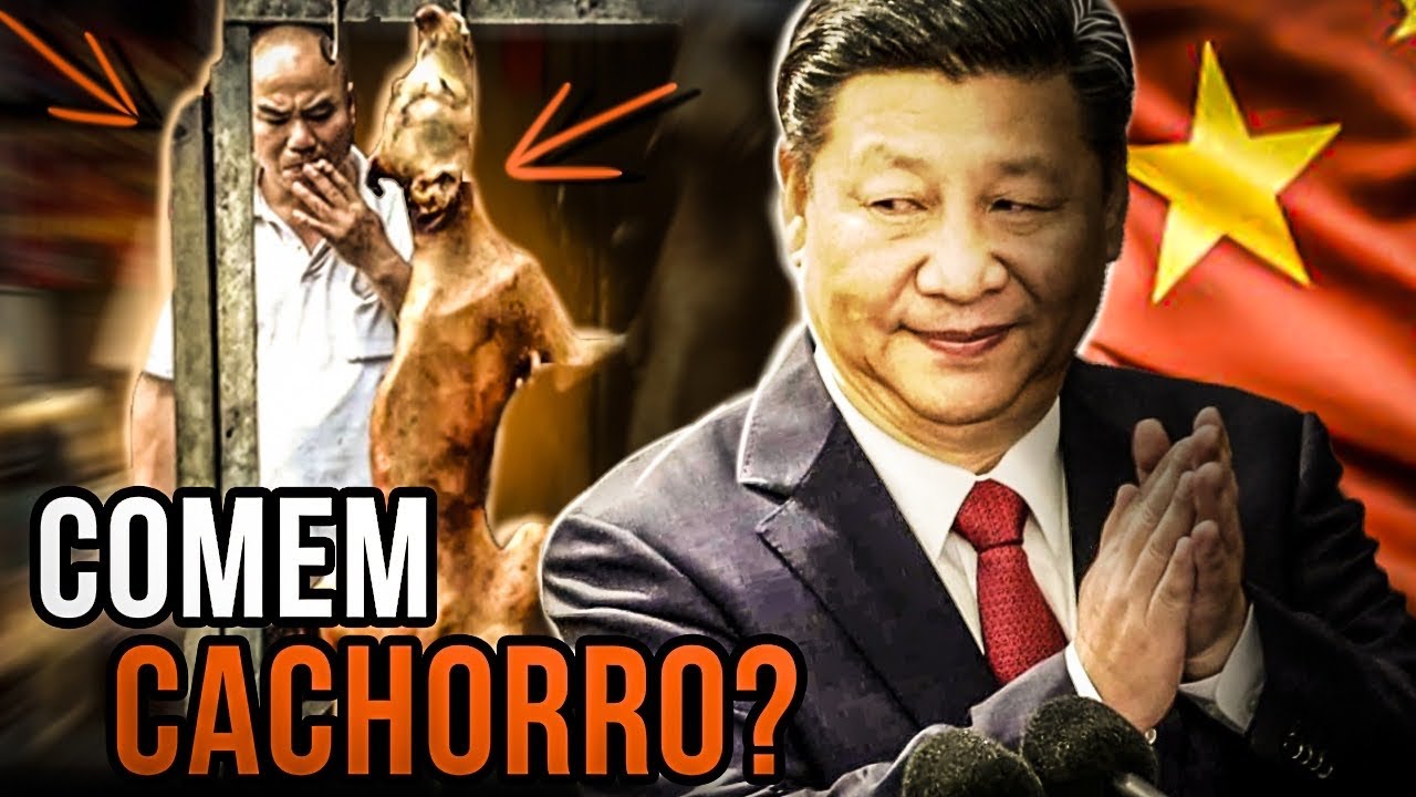 COMO &Eacute; VIVER NA CHINA?
