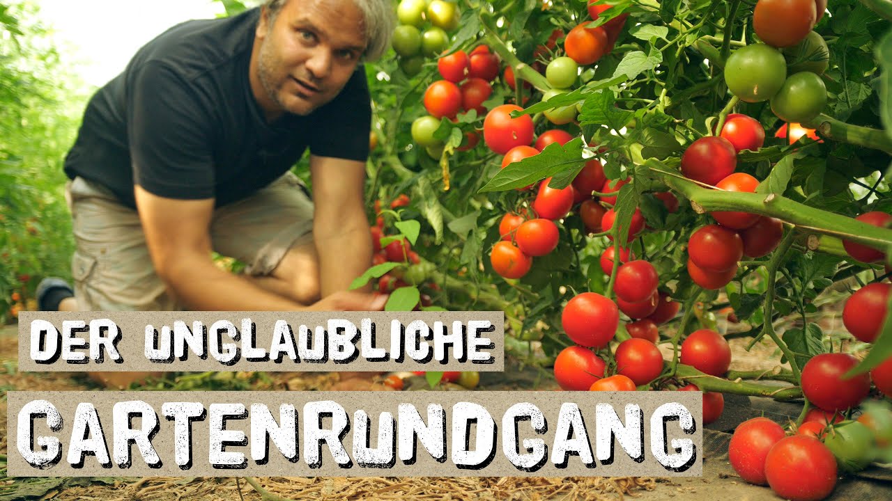 Exotisches Obst und Gemüse, dass du in Deutschland anbauen kannst.