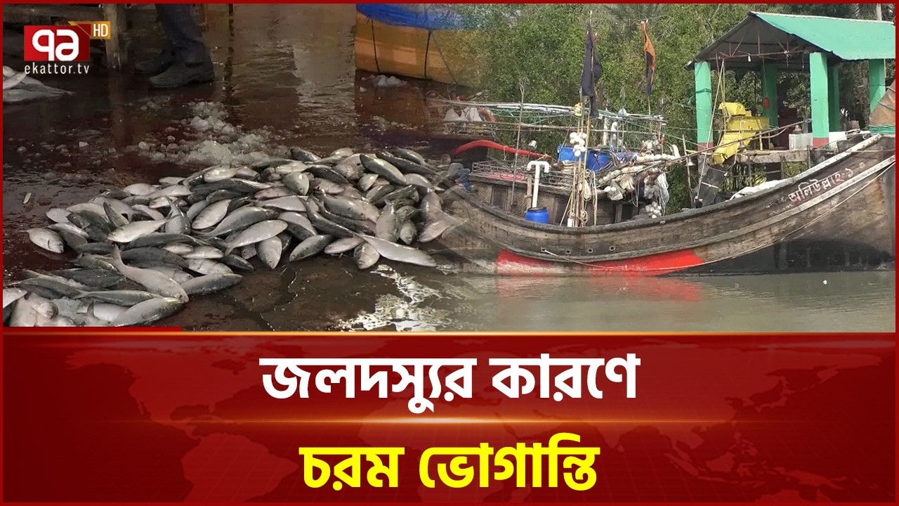 মৎস্য অবতরণ কেন্দ্রে হতাশা, লোকসানের মুখে জেলেরা | Barguna | Ekattor TV