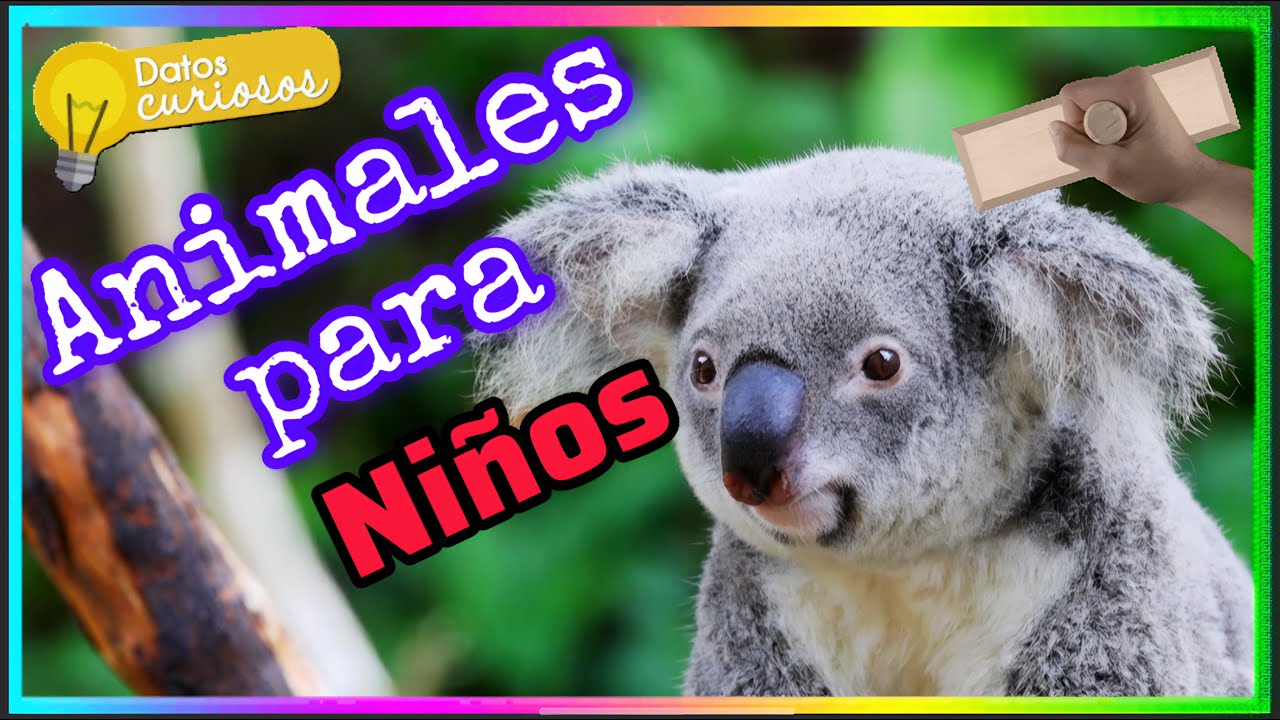 Datos Curiosos de Animales 🐼🐾| ¡Animales mas Tiernos del Reino Animal! | Video Educativo 2026