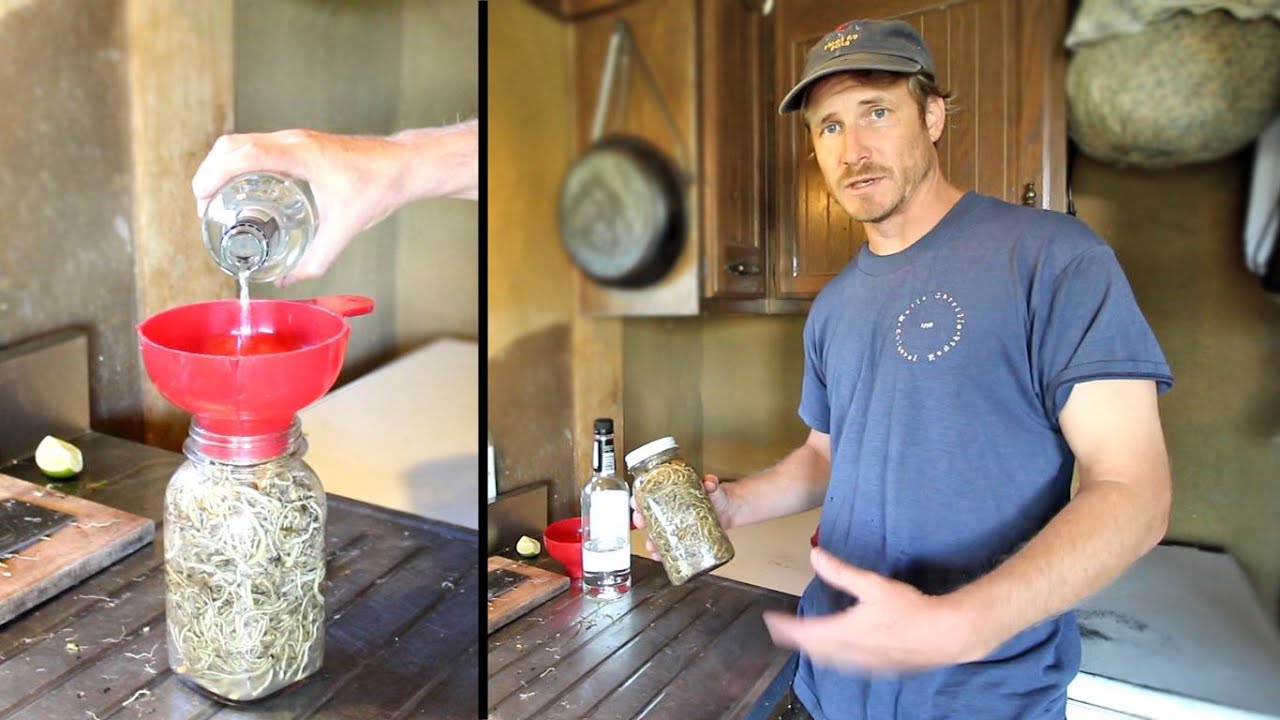 Making a SLEEPING POTION From Fresh VALERIAN