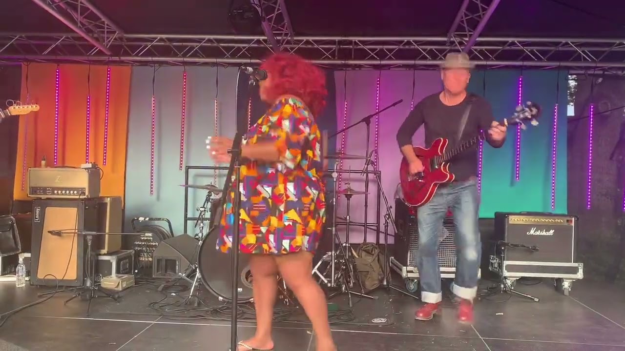 No Good Woman & The Kingsnakes - See My Jumper Hanging On The Line