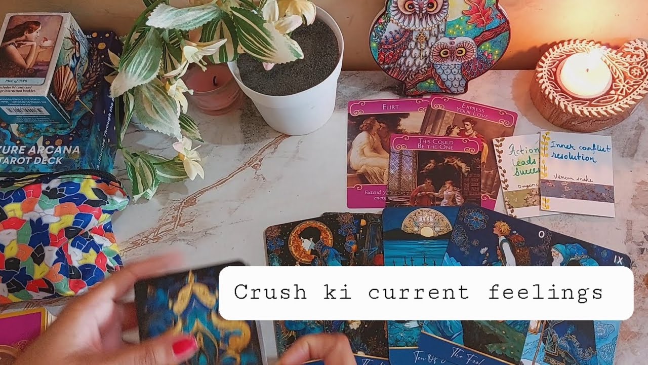Aapke crush ki current feelings aur near future. Destined connection. Timeless tarot reading. 