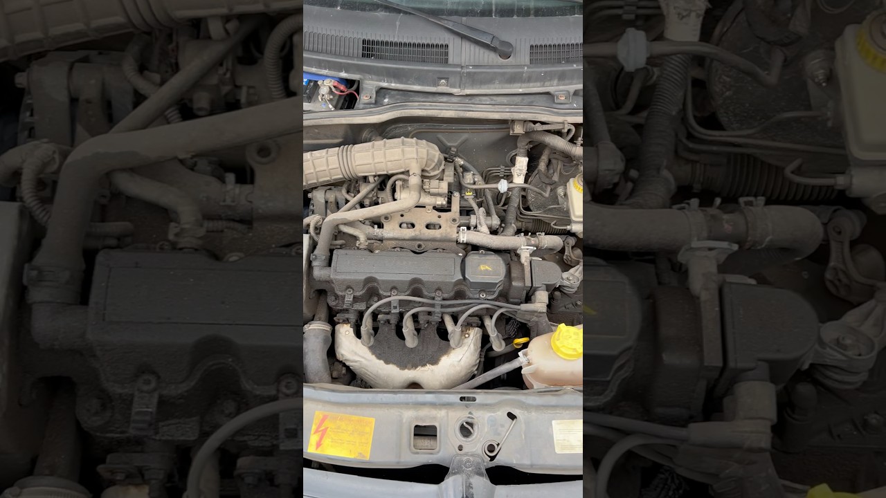 Lavagem de motor automotivo #detailer #automobile #detailing