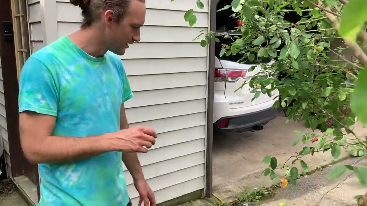 Uncle Ben's Edible Forest Garden