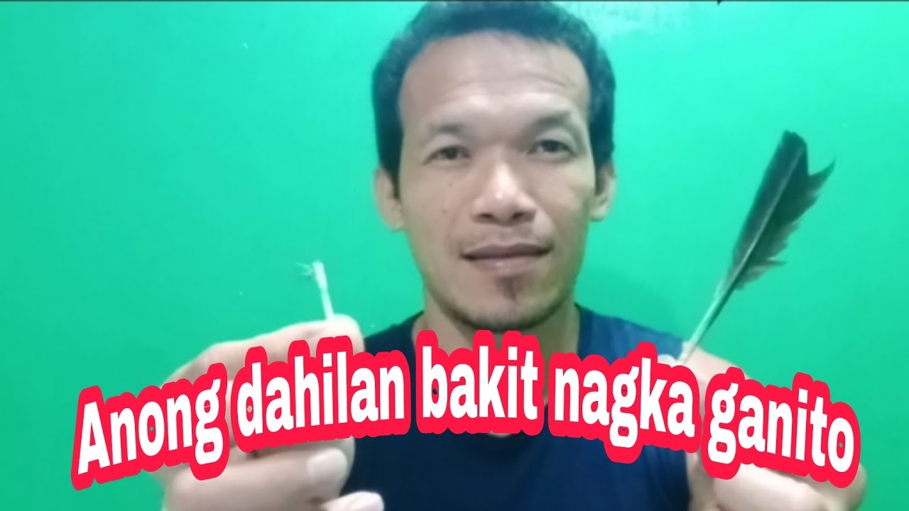 Advantage | Alamin ang mga dahilan bakit putol ang balahibo ng manok.