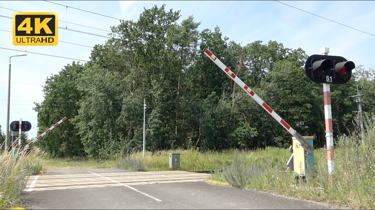 Railroad Crossing: A Full Day of Train Spotting Action | 4K | ASMR
