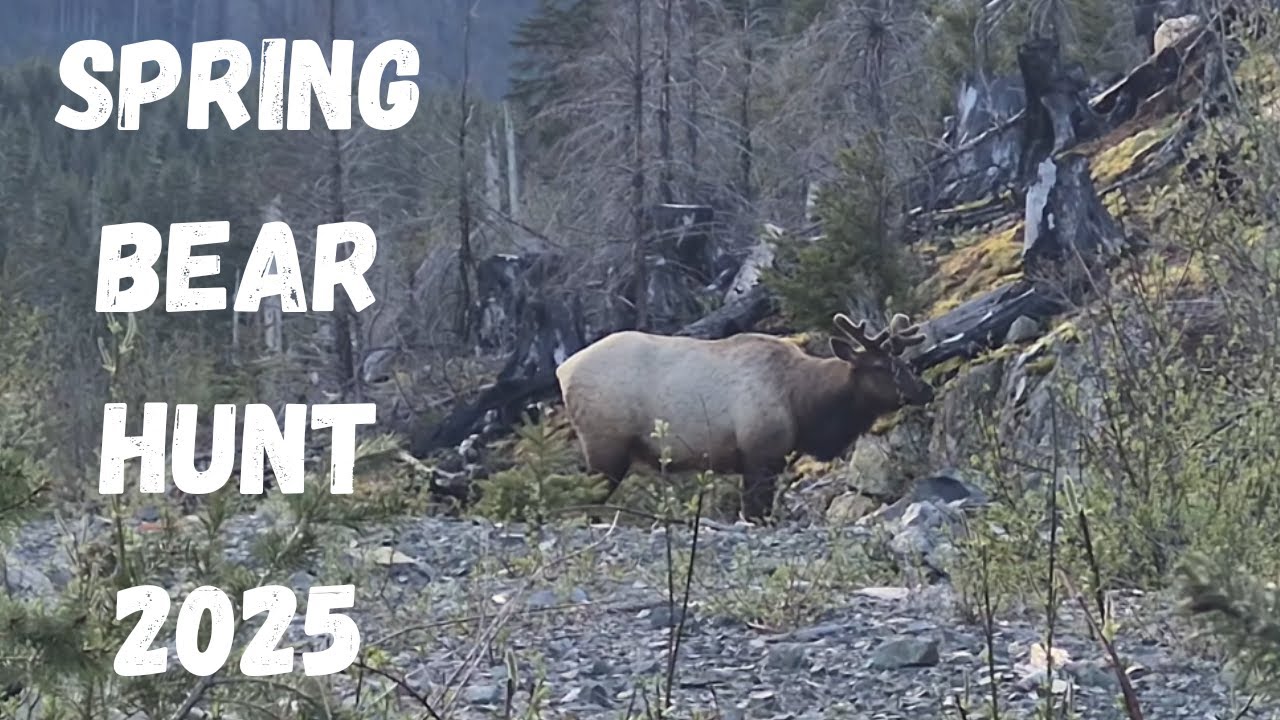 BC Spring Bear Hunt 2025