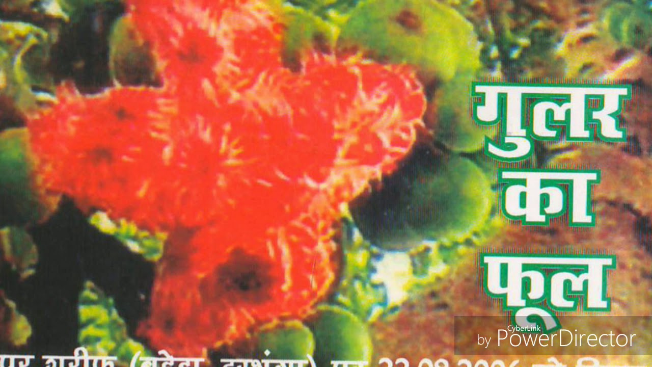 हम तेरे बगिया के फूल है
