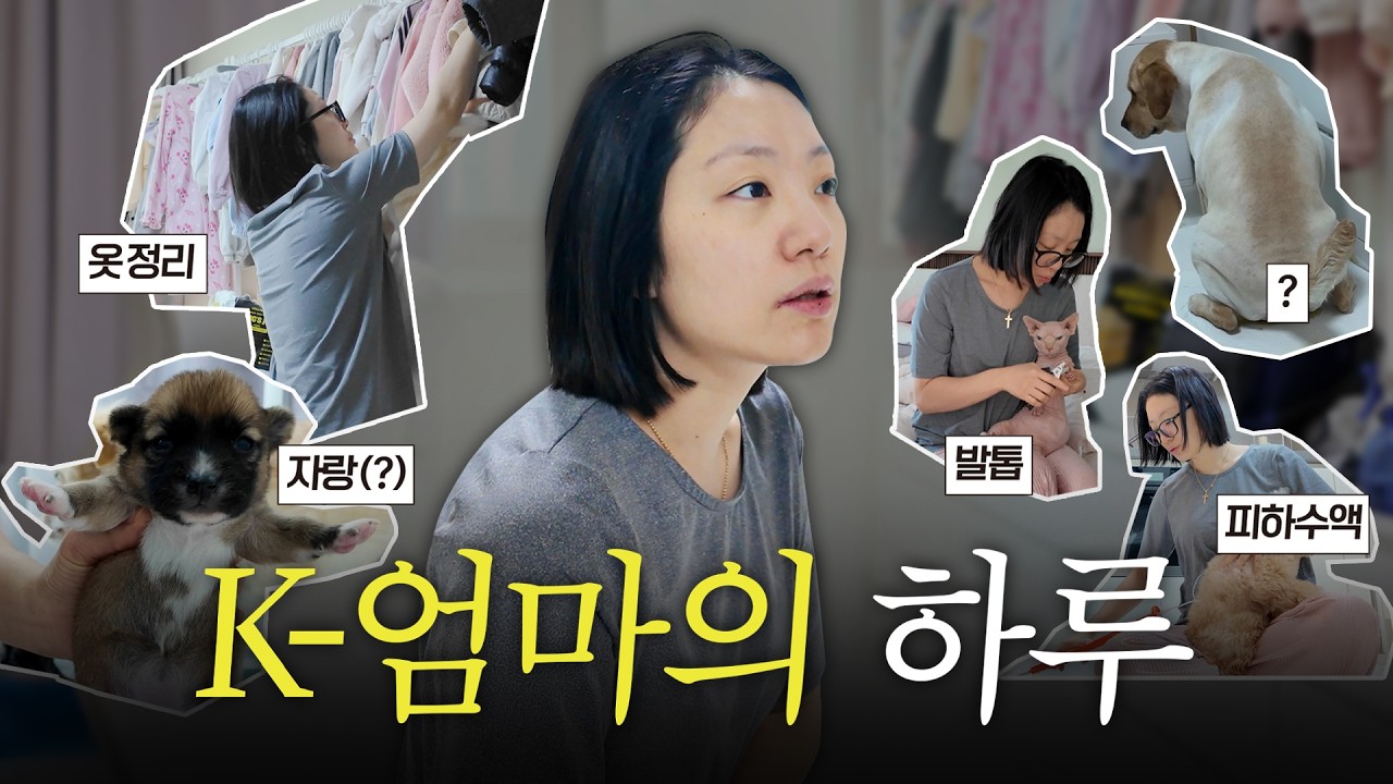 태라와 다인이의 입원 그리고 고양이 묘사 확장공사!!