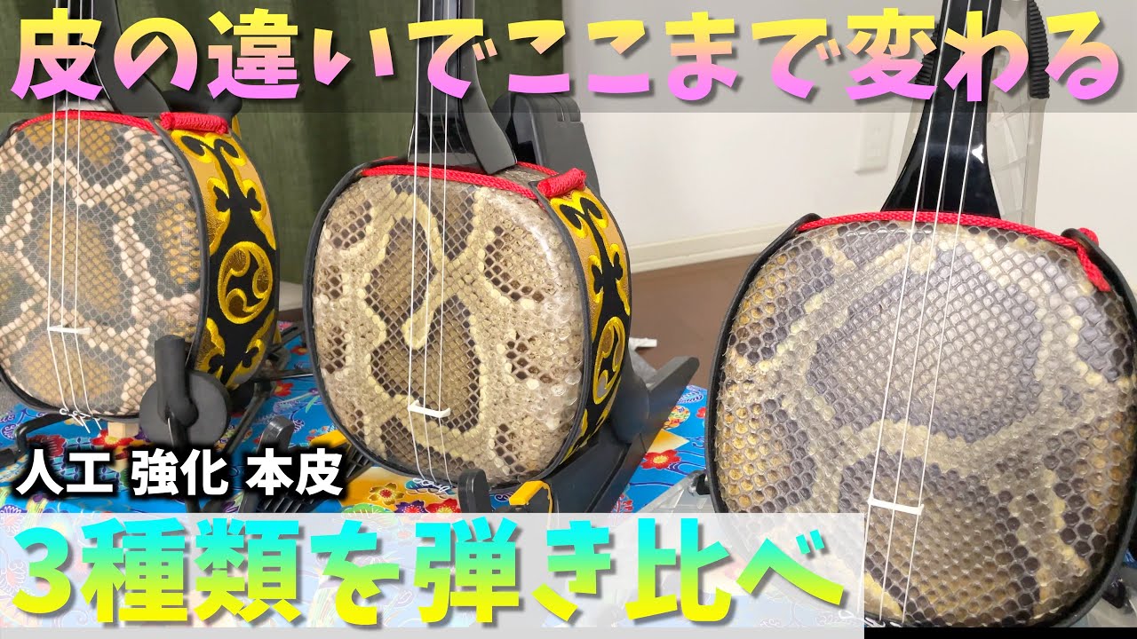 三線の皮の違いによる音の違いを聴き比べ