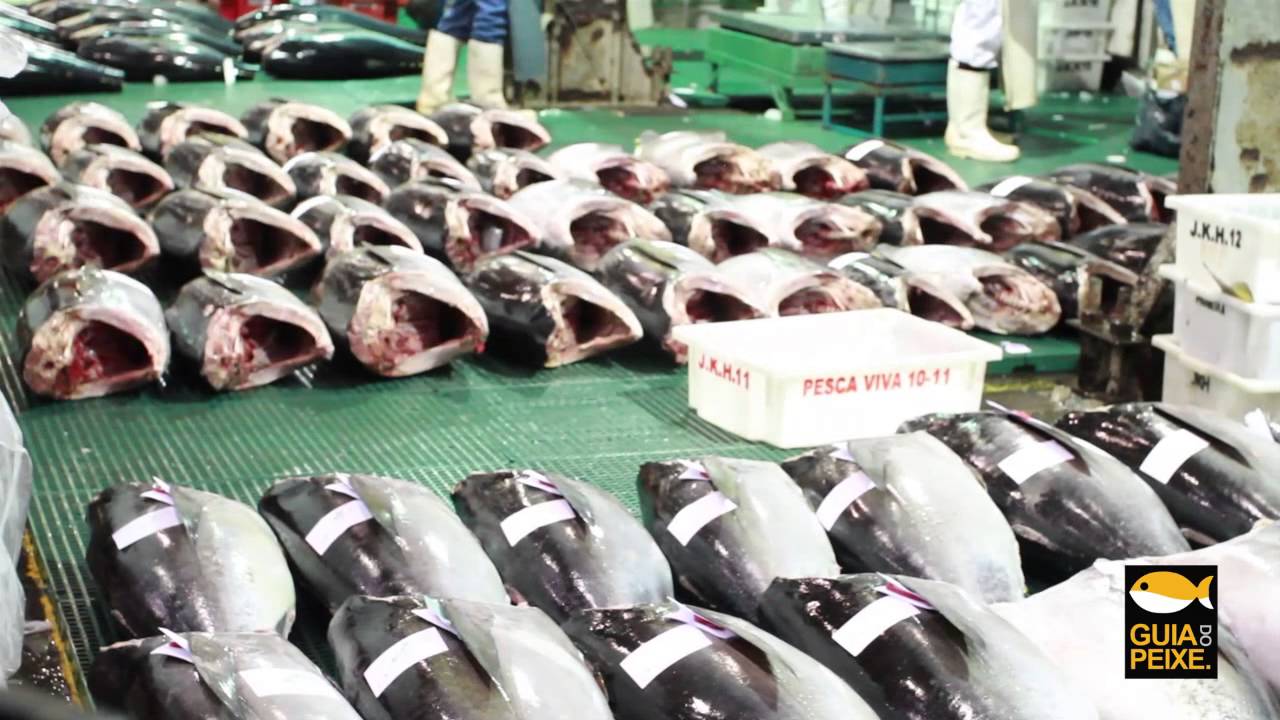 Ceagesp - São Paulo - Brasil Como limpar peixe como um profissional! técnicas