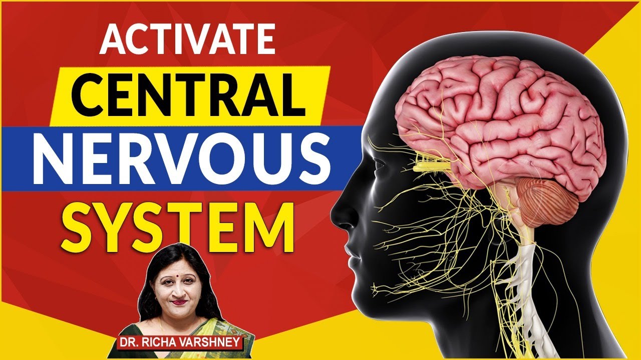 How To Improve Central Nervous System Naturally By Acupressure Therapy (Hindi) | Dr. Richa Varshney