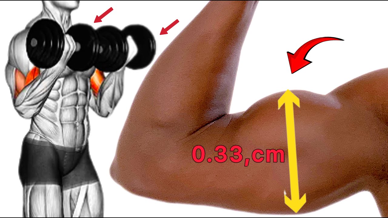 How to have bigger Arm! Top 2 Exercises 100%🔥🔥🔥🔥