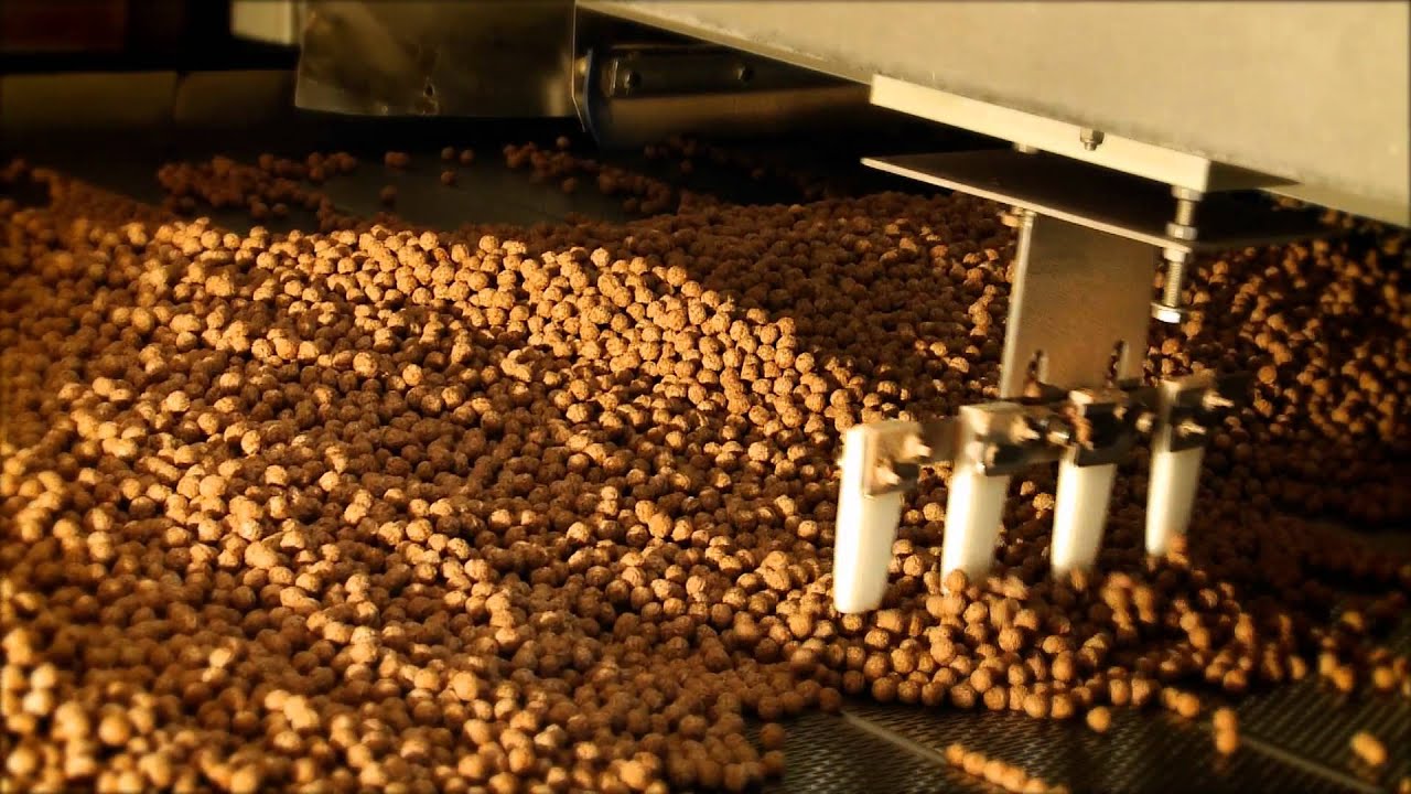 From the field to your breakfast bowl: how extruded cereals are made