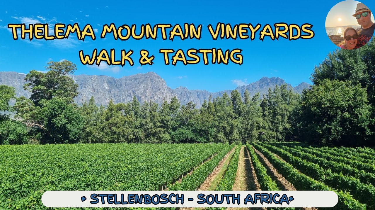 Thelema Mountain Vineyards Walking and Tasting