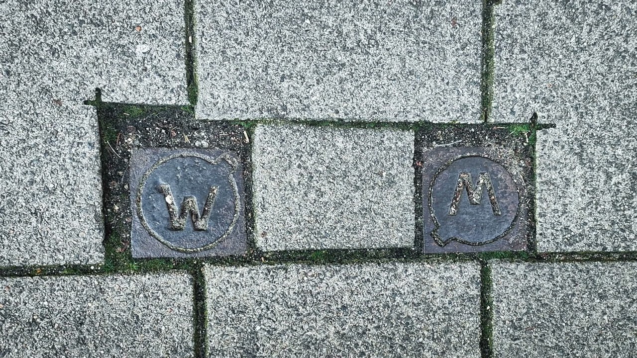 Worm Marks 