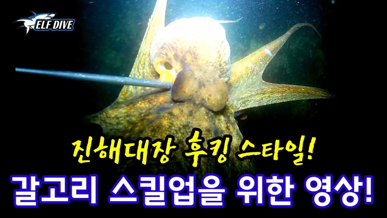 🐙문어 잡는게 이렇게 쉽다고?  (진해대장의 갈고리 스킬/OCTOPUS HOOKING SKILLS)