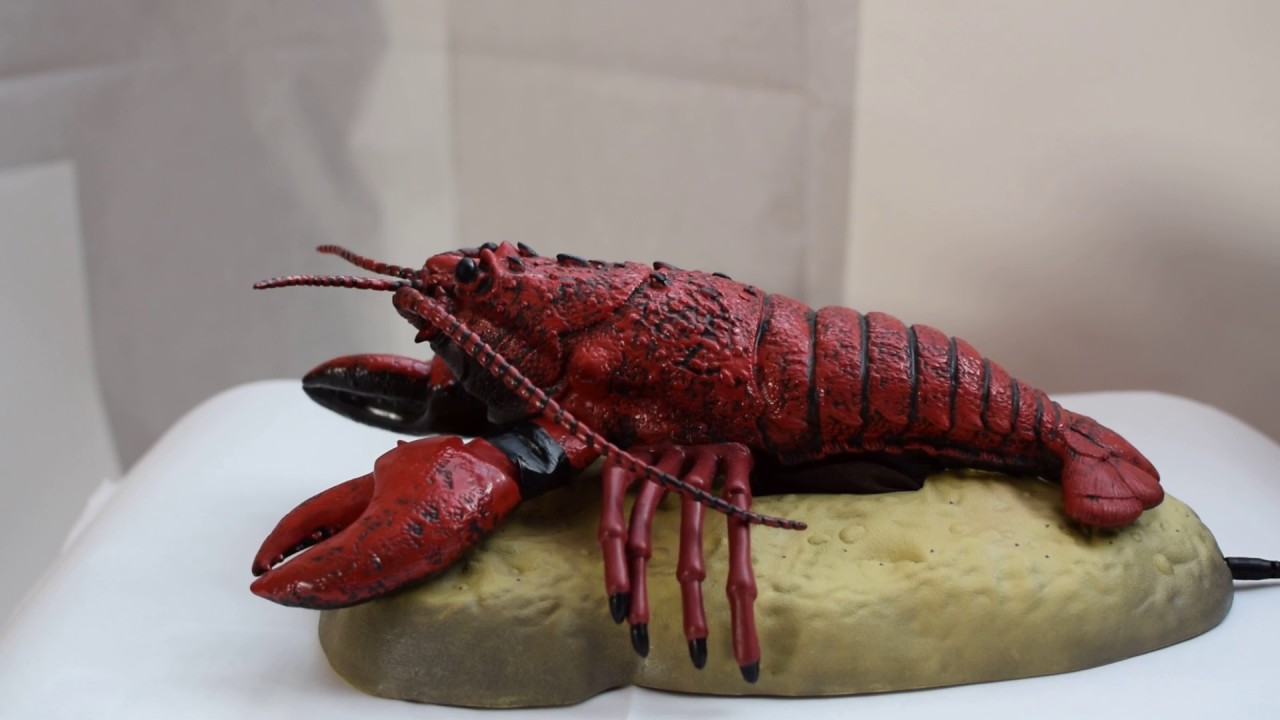 ROCKY LOBSTER