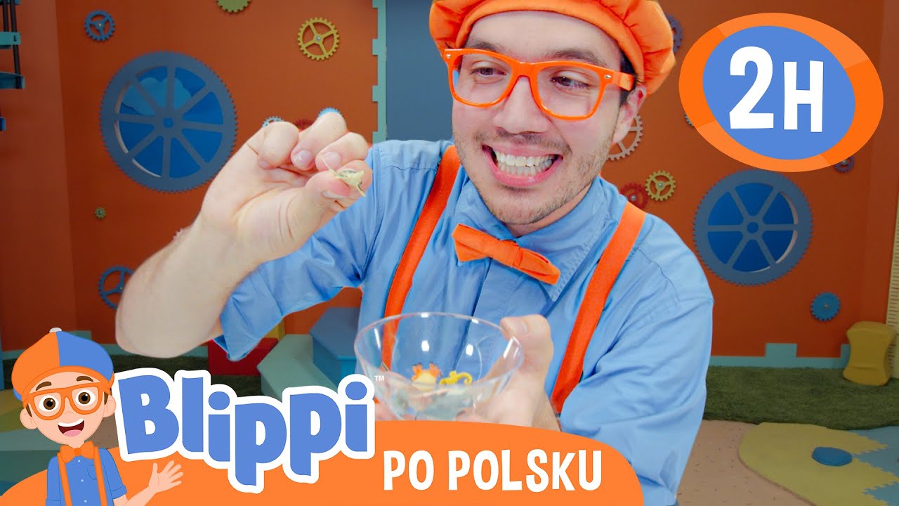 Sklep z czekoladą |  Blippi po polsku 🔶 Nauka i zabawa dla dzieci