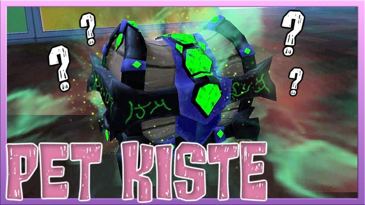 Ich &Ouml;FFNE meine ERSTE Pet Kiste 🎁 Horse Riding Tales #8