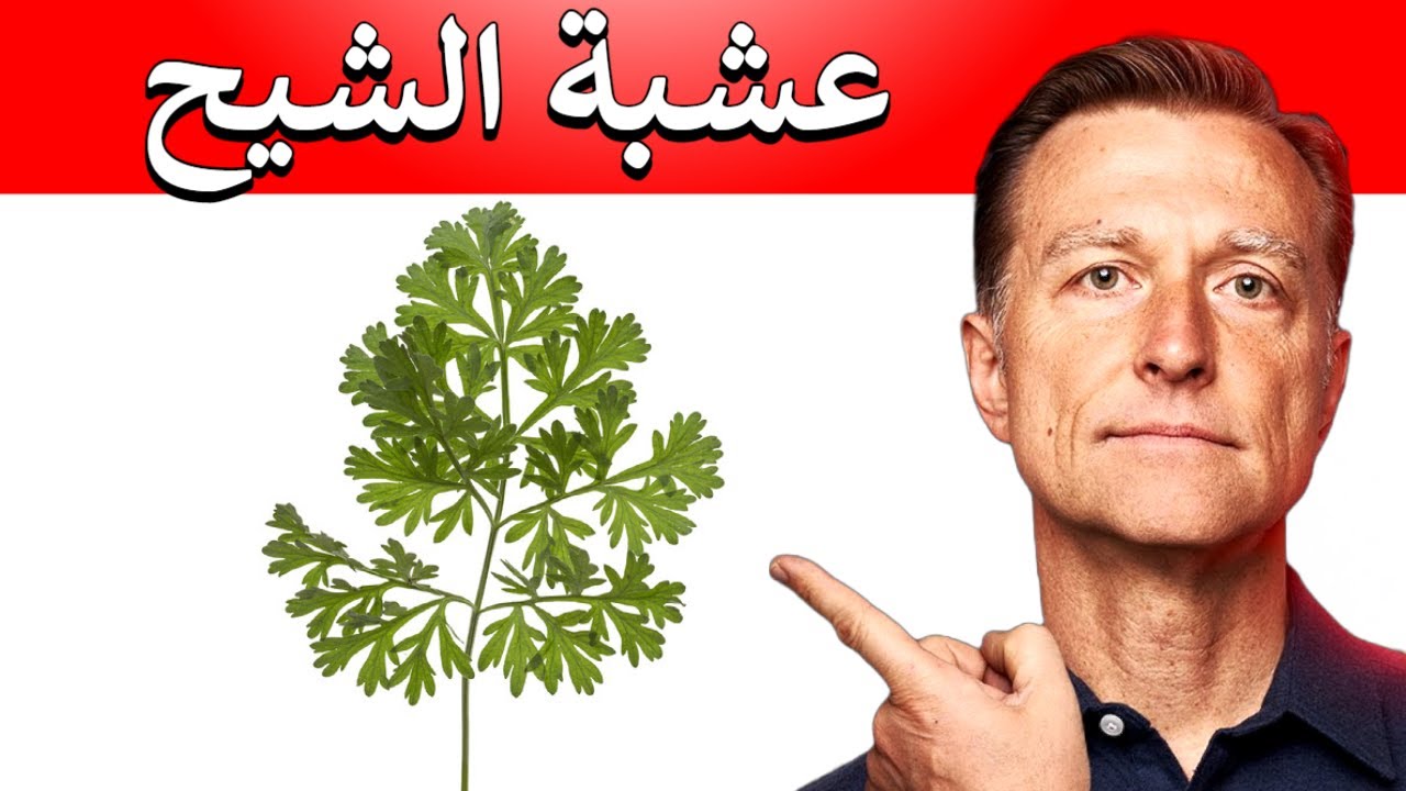 عشبة الشيح | فوائد تتعدى القضاء على ديدان البطن