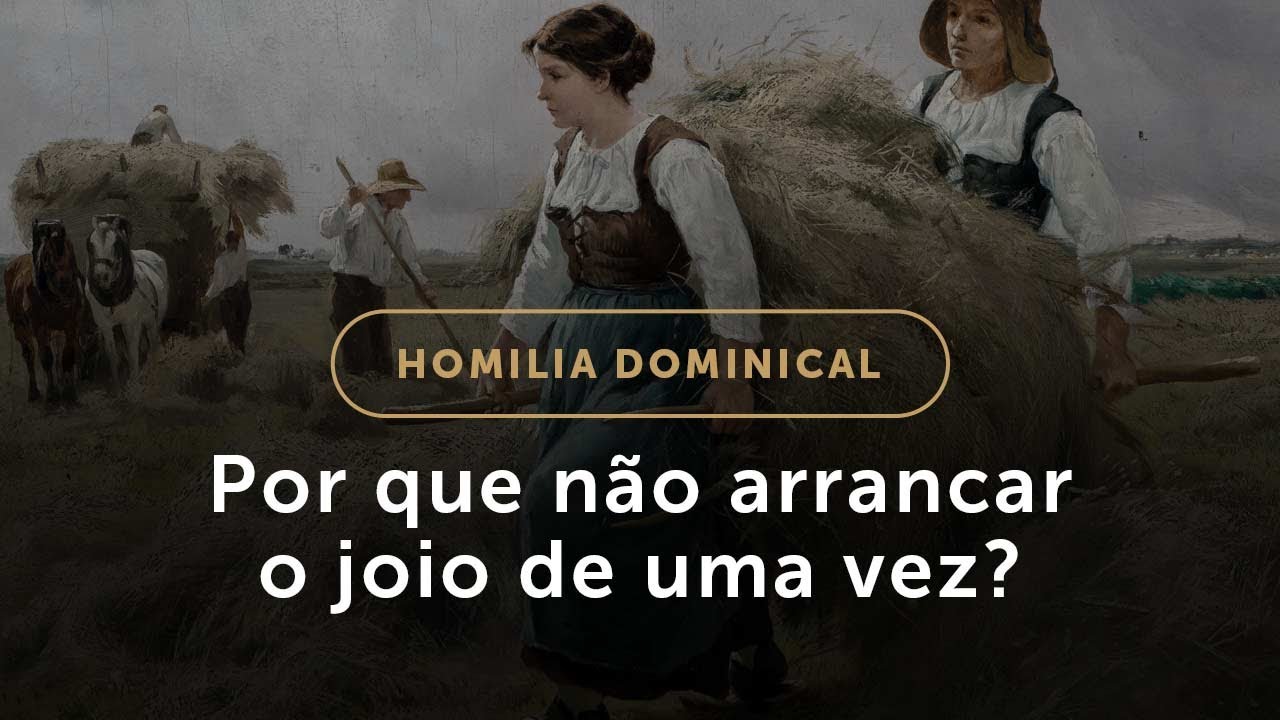 Por que não arrancar o joio de uma vez? (Homilia Dominical.514: 16.º Domingo do Tempo Comum)