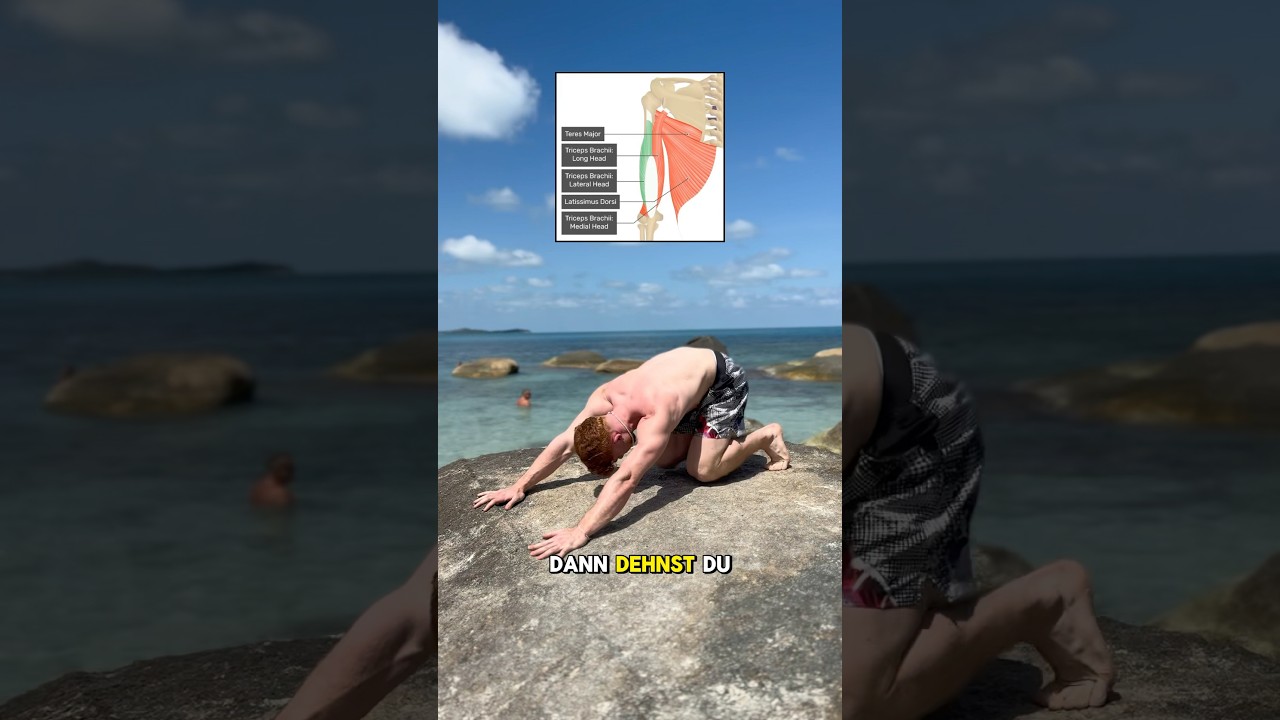 3 &Uuml;bungen f&uuml;r schnelle Mobilit&auml;t!💥 #mobility #beweglichkeit #schnellfit #mobilitytraining #shorts