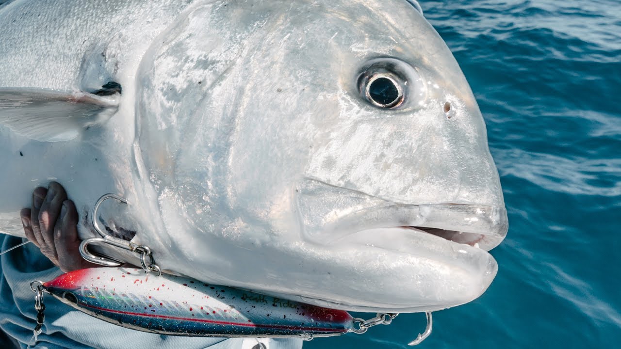 Mackay Fishing - Reef flat GTs and everything in between - by Missing At Sea