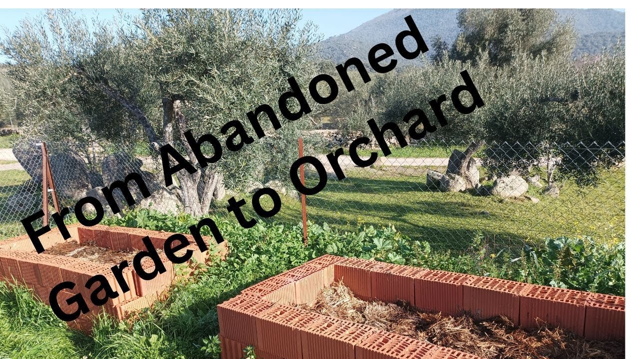 From  Abandoned Garden to Orchard