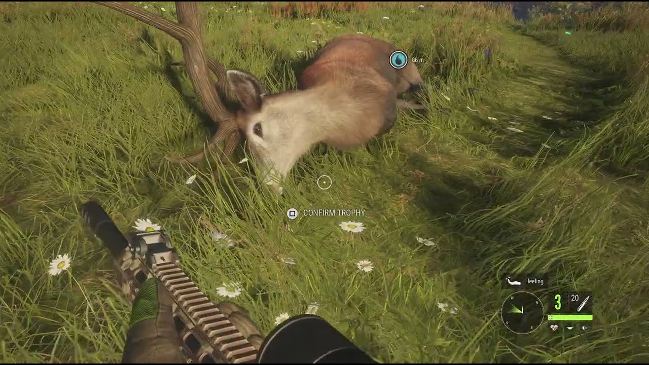 First diamond 😁 (extended video)