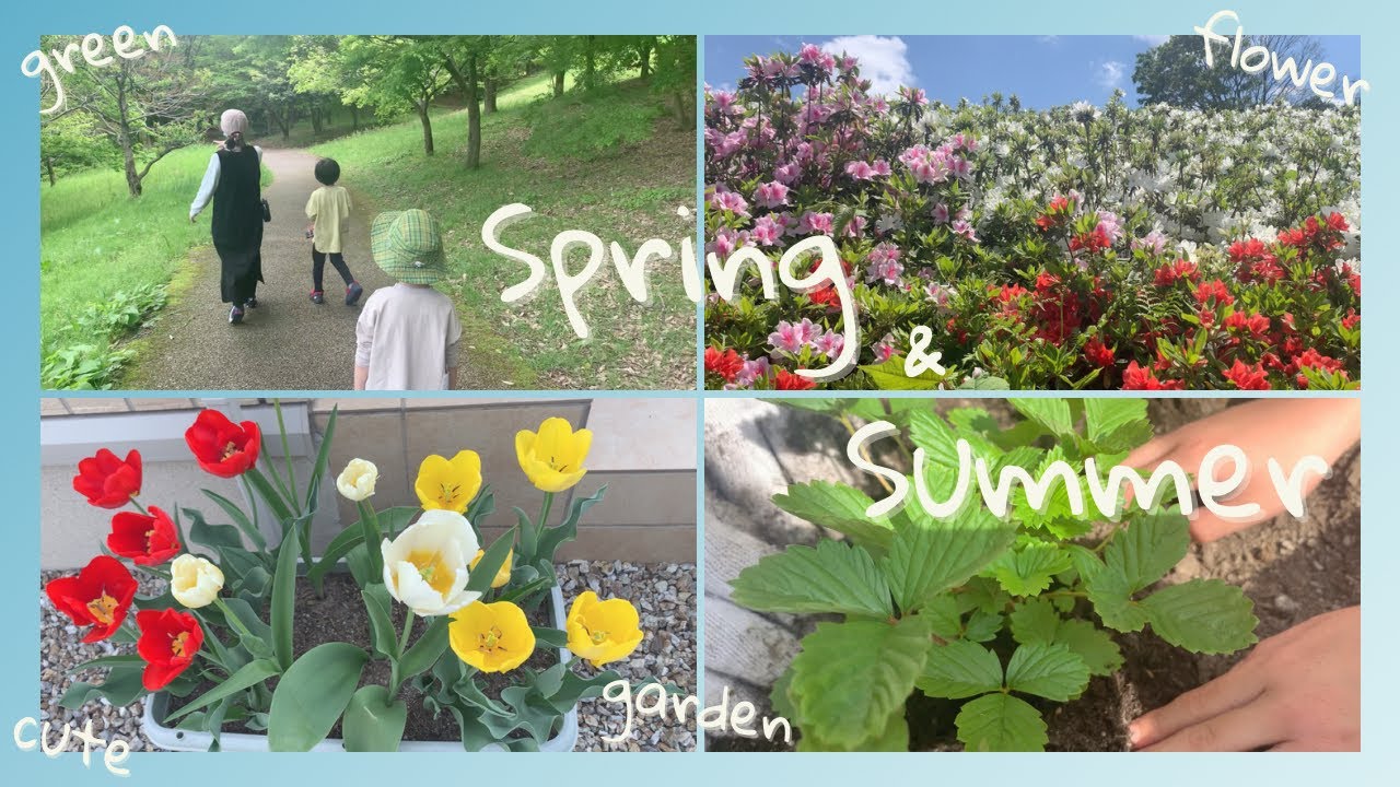 【主婦の日常】春〜夏が始まっていく我が家ののほほーんな日々🌱あつ森の近況など🐻