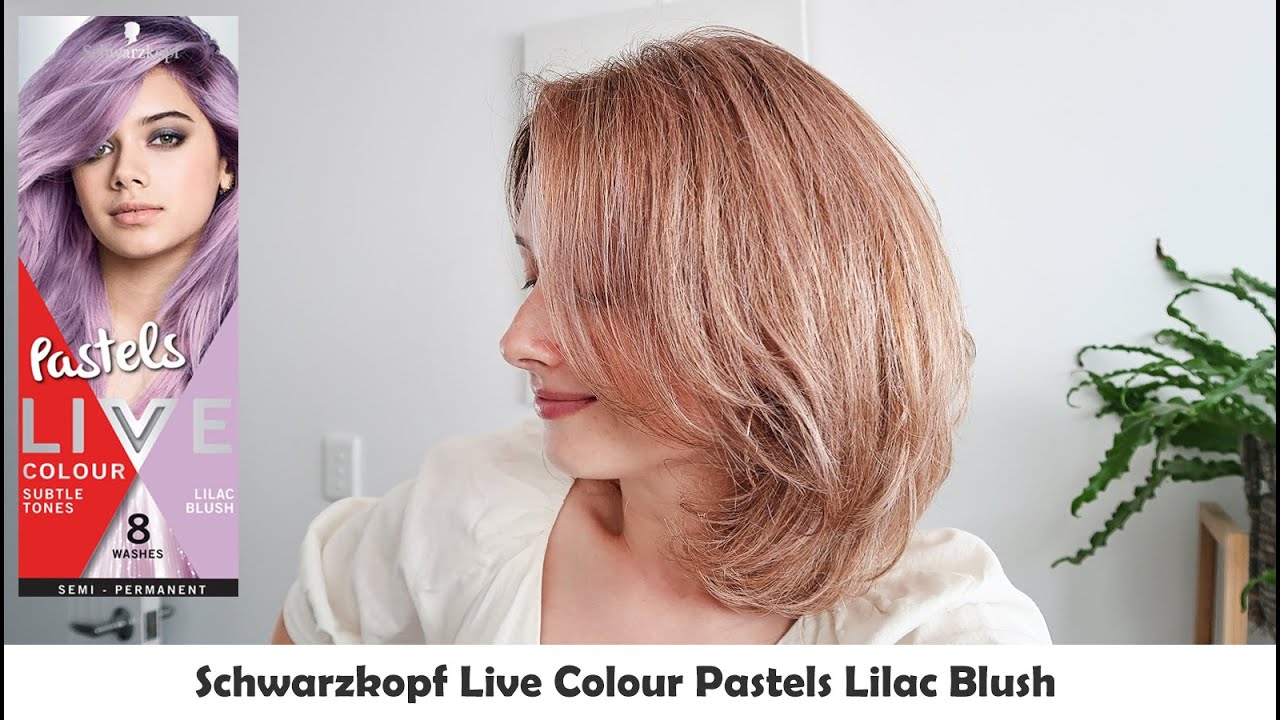 Trying Schwarzkopf Live Colour Pastels Lilac Blush on my Caramel Blond Hair. Honest Review