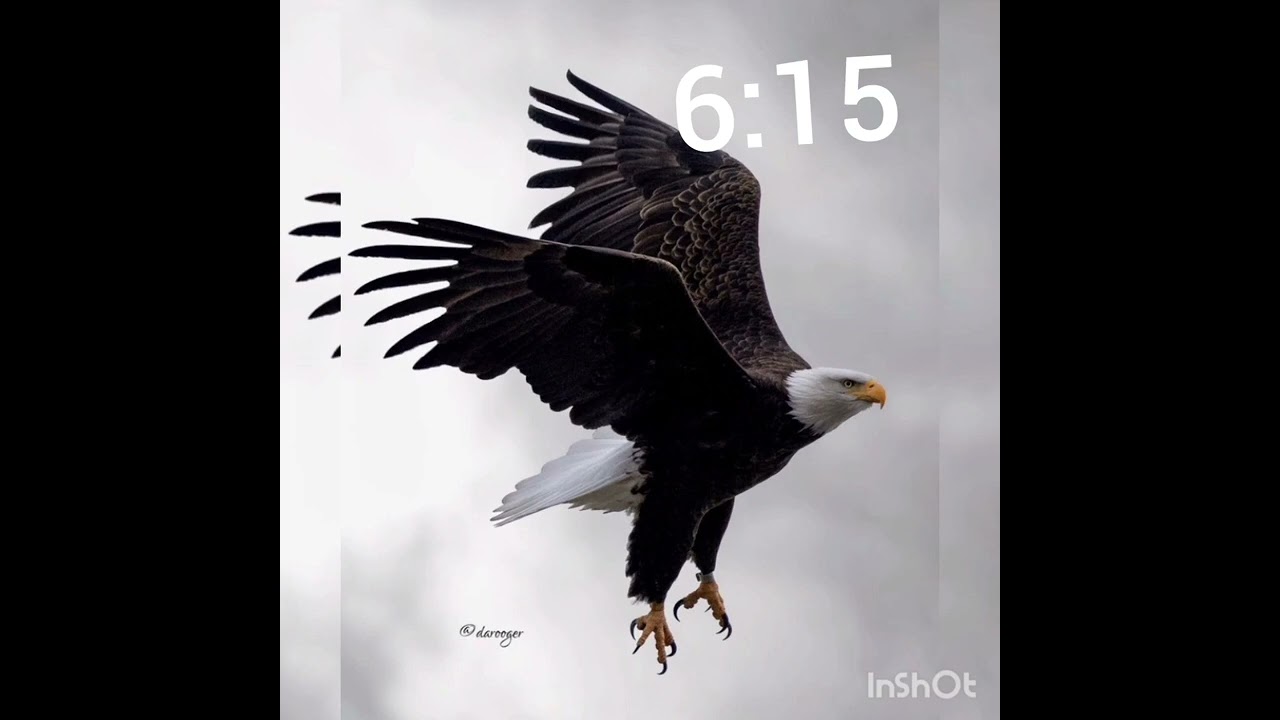 eiye jorjor happy 6:15 to all rugged airlord worldwide 💙❤️💛🦅🦅 #entertainment #edit #explore