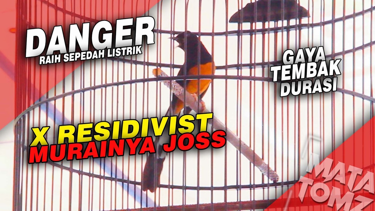 SEPEDAH LISTRIK DI HARI SABTU | MB DANGER X RESIDIVIST H EDEUM BANDUNG