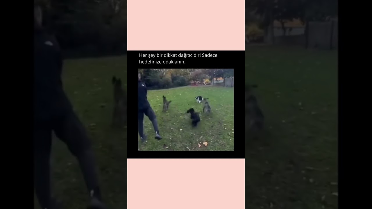 Sadece Hedefine Odaklan! Dikkat Dağıtıcılara Kulak Asma!