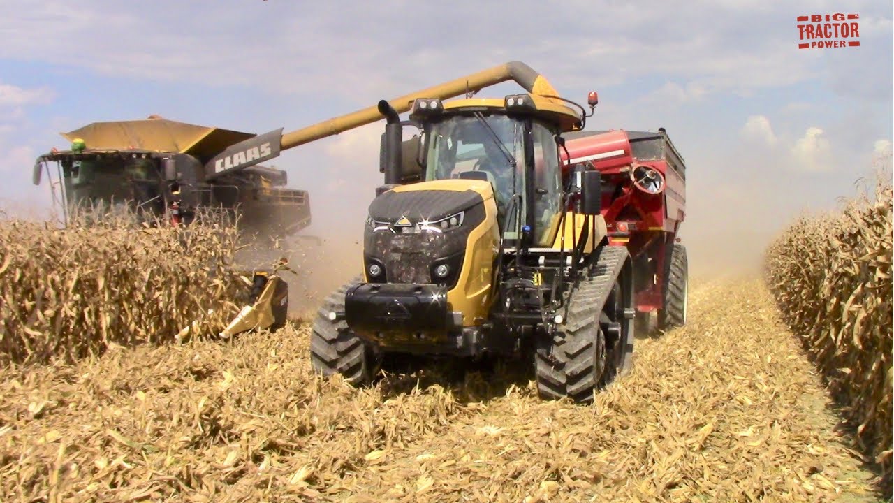 CHALLENGER MT740 Tractor Moving the Corn Harvest